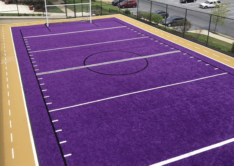 purple turf