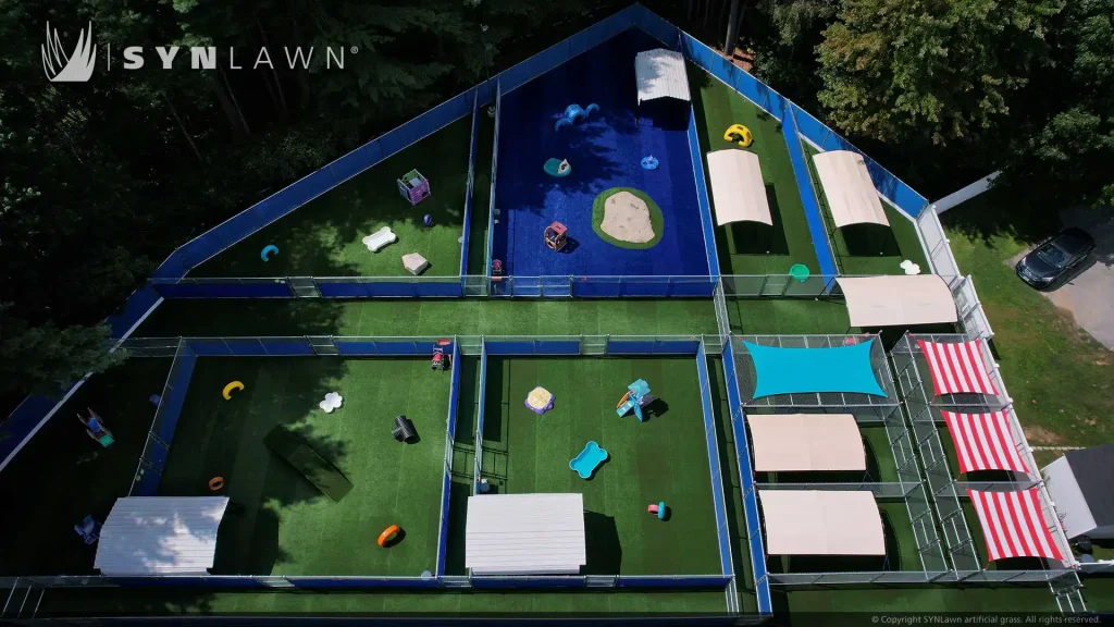 image of SYNLawn pet grass at All Dogs Gym and Inn Manchester New Hampshire