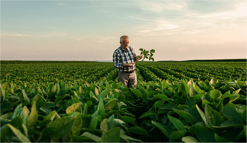 image of a farming in the middle of his crops