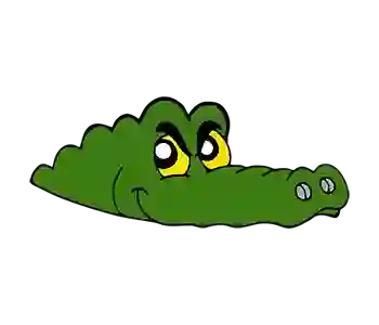 Crocodile head icon