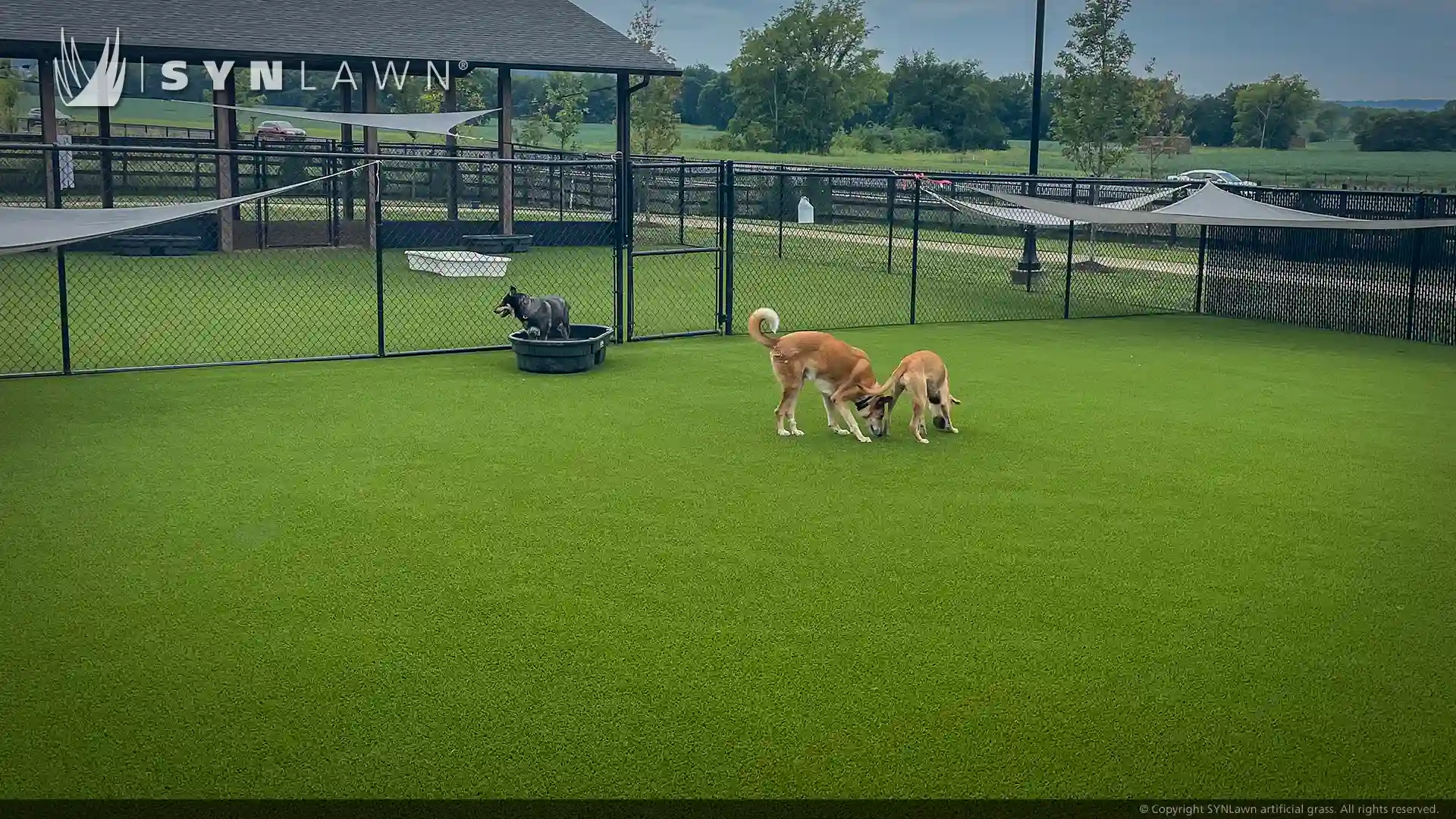 image of SYNLawn artificial grass for pets at Williamson County animal center in Franklin Tennessee