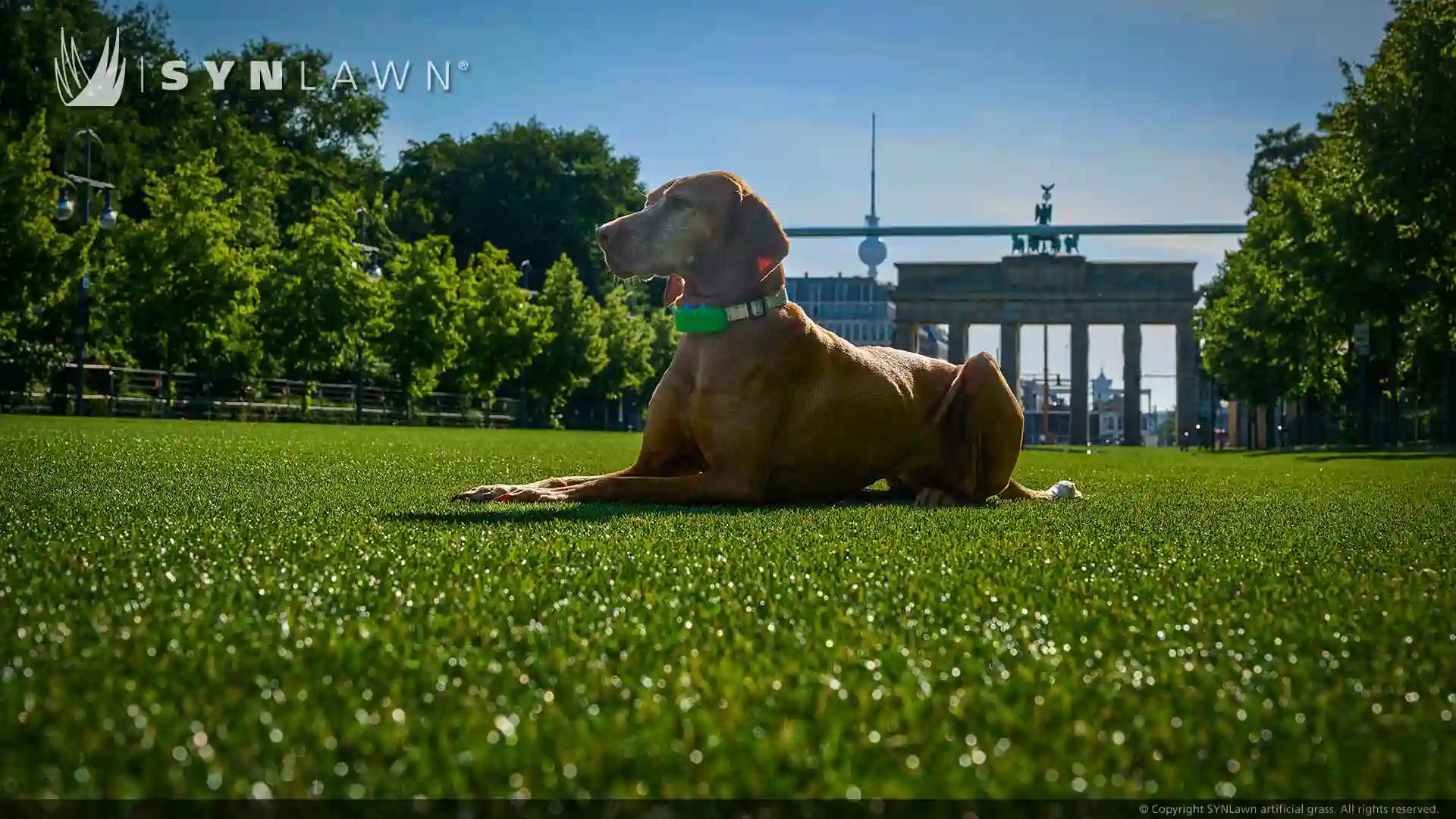 image of SYNLawn artificial grass event turf at the Brandenburg Gate Berlin for the EUFA Euro 2024 Premier Championship Tournament
