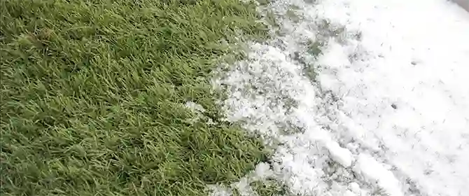 image of Super Drain climate