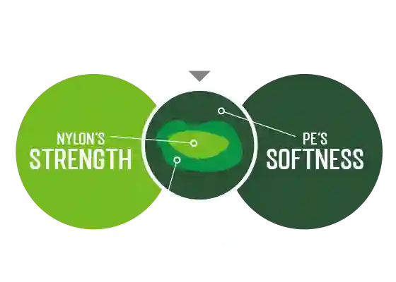 Trionic PLUS graphic 01