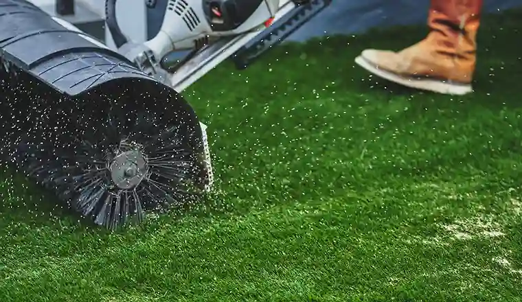 image of synlawn maintenance services