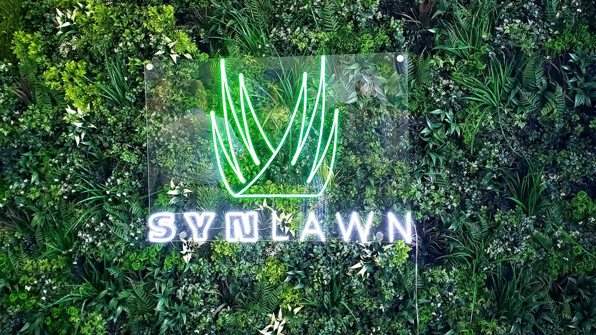 image of the grand opening ribbon cutting of the synlawn saint louis showroom