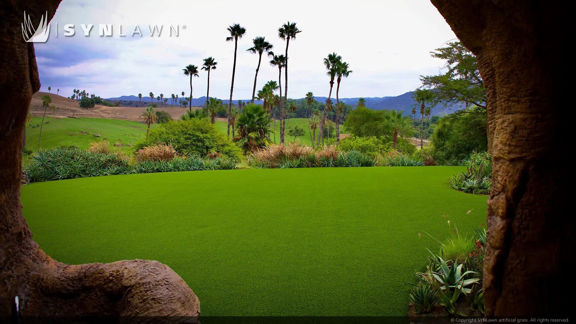 image of the watering hole at Kijamii overlook San Diego Zoo restaurant
