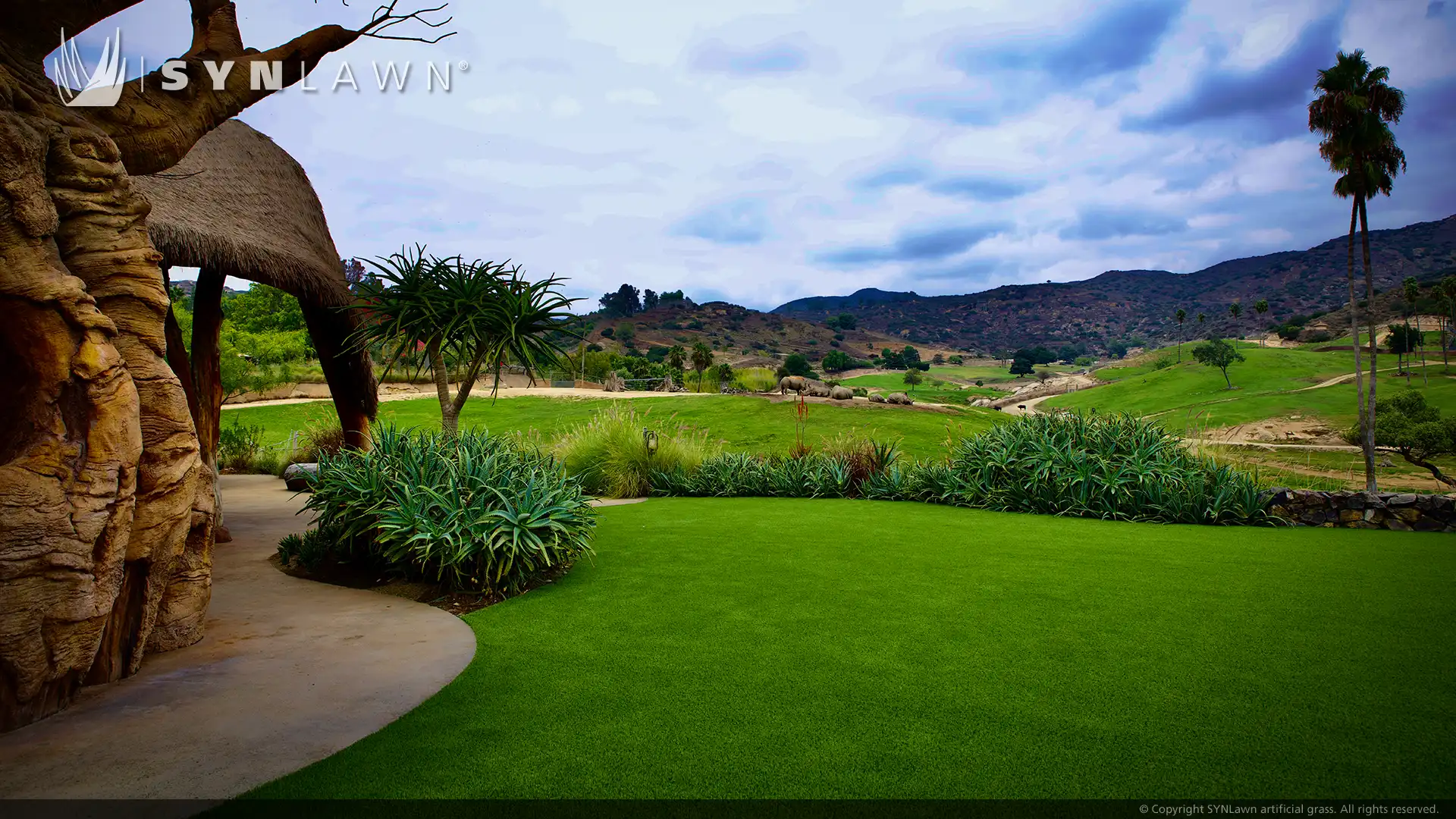 image of the watering hole at Kijamii overlook San Diego Zoo restaurant