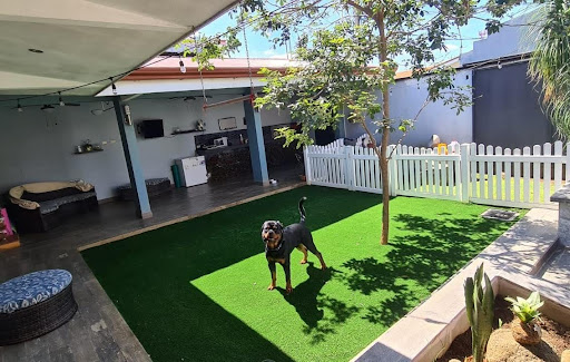 {X} Dog-Friendly Backyard Ideas